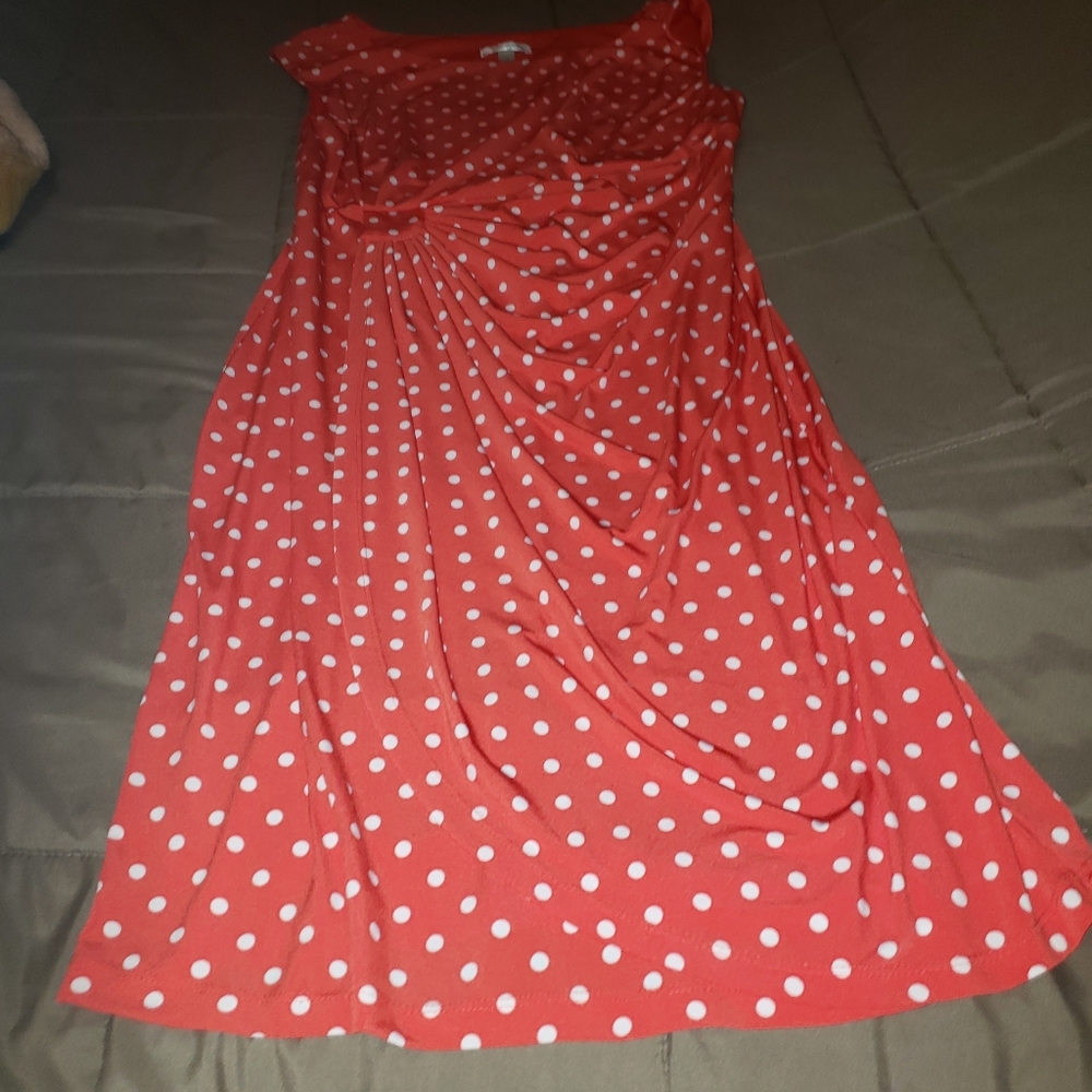 Dressbarn  poka dot dress 16 women's